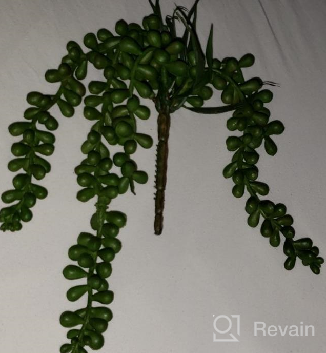 img 1 attached to Supla 4 Pcs Artificial Hanging Succulents Faux Burro'S Tail Picks Trailing String Of Pearls Succulent Greenery Sprays 13.4" L For Basket Planter Centerpiece Floral Arrangement Indoor Outdoor Decor review by John Baker