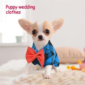 img 2 attached to Clothes Chihuahua Outfits Apparel Accessories