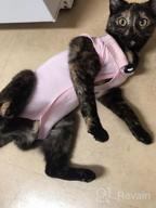 img 1 attached to 🐱 Surgical Abdominal Wound Recovery Suit for Cats - Indoor Pet Clothing & E-Collar Alternative Pajama Suit After Surgery review by Adam Cummings