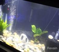 img 1 attached to Add Vibrance To Your Aquarium With Greenpro Anubias Barteri Live Plants review by Jonathan Olson