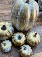 img 1 attached to 6 Pack Handmade Velvet Pumpkins For Fall Decorating - 4.72 In Faux Foam Pumpkin Tabletop Decoration For Autumn Halloween Thanksgiving Harvest Festive Home Decor review by Jennifer Moore