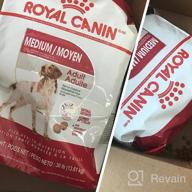img 1 attached to Royal Canin Medium Breed Adult Dry Dog Food - 6 Lb Bag review by Douglas Irwin