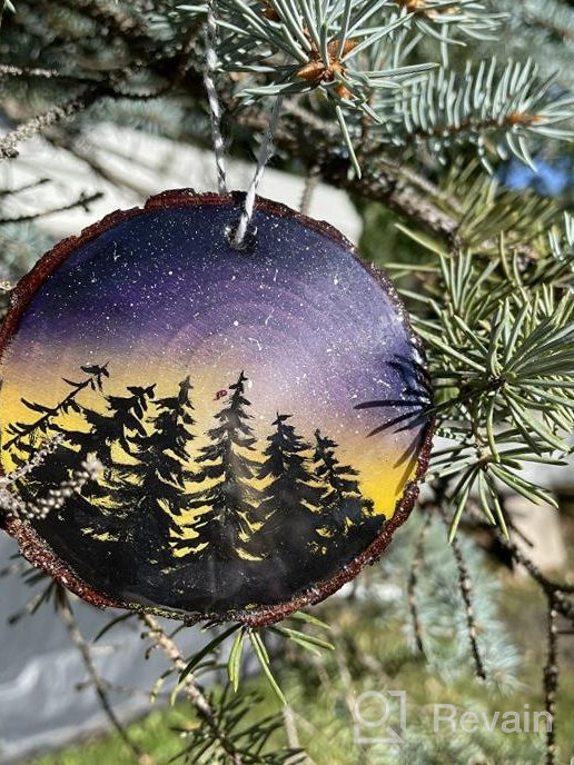 img 1 attached to 🌳 30Pcs Unfinished Wood Slices 2.4"-2.8" | Natural Wooden Circle Kit with Pre-drilled Hole for Rustic Wedding Decorations, Round Coasters, Halloween & Christmas Ornaments | DIY Arts & Crafts review by Todd Lowry