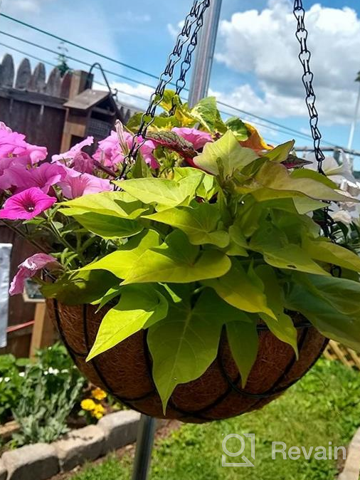 img 1 attached to Stylish And Durable Hanging Planters: Kingbuy Metal Basket With Coir Liner, 2 Pack review by Sabryna Wickings