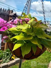 img 6 attached to Stylish And Durable Hanging Planters: Kingbuy Metal Basket With Coir Liner, 2 Pack