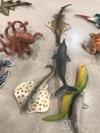 img 1 attached to 12-Piece Realistic Ocean Animal Toy Figures Set - Durable Plastic Sea Creature Toys For Kids - Variety Marine Life Figures For Bath Time - Perfect Gift For Boys And Girls review by Jimmy Bhat