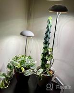img 1 attached to Full Spectrum LED Grow Lights For Indoor Plants - POTEY 2 Heads, Height Adjustable With Auto On/Off Timer & 5 Dimmable Brightness Settings. review by Pavan Cormier