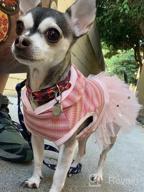 img 1 attached to 🦄 KYEESE Unicorn Tiered Layer Tutu Tulle Dog Birthday Party Dress with Sequins - Perfect for Small Dogs review by Nathan Pintac