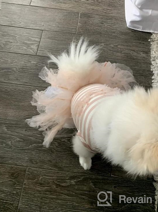 img 1 attached to 2-Pack Dog Dress Lightweight Puppy Skirt Tutu With Bow Hair Rope Gift Pet Clothes Girl For Mother'S Day Cat Apparel CuteBone 2TBF03M review by Steve Stone