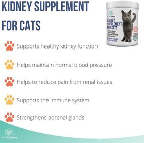img 2 attached to 🐱 Cat Kidney Support Chews - Feline Kidney Restore - Pet Care Sciences - Renal Cat Treats for Urinary Tract Health - Cats Kidney Support Supplement - Control Irritations - Made in The USA - Approx 90 Servings
