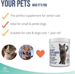 img 1 attached to 🐱 Cat Kidney Support Chews - Feline Kidney Restore - Pet Care Sciences - Renal Cat Treats for Urinary Tract Health - Cats Kidney Support Supplement - Control Irritations - Made in The USA - Approx 90 Servings
