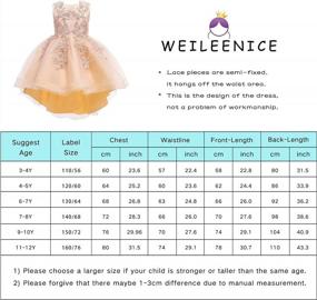 img 3 attached to 👗 Weileenice Lace Bridesmaid Dress for Big Girls - Flower Girl Wedding Ball Gown Toddler Princess Pageant Evening Dress