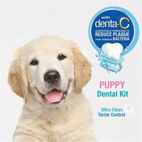 img 1 attached to 🦷 Nylabone Puppy Dental Kit - Advanced Oral Care - Original - Includes 3 Count