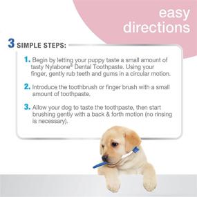 img 2 attached to 🦷 Nylabone Puppy Dental Kit - Advanced Oral Care - Original - Includes 3 Count