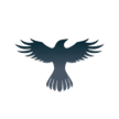raven protocol logo