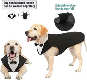 img 2 attached to Premium Dog Tuxedo Wedding Party Suit for Large Dogs - 🐶 Golden Retrievers, Samo Bulldogs, and More! Elegant Gentleman Dog Attire with Bowtie Included