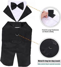 img 3 attached to Premium Dog Tuxedo Wedding Party Suit for Large Dogs - 🐶 Golden Retrievers, Samo Bulldogs, and More! Elegant Gentleman Dog Attire with Bowtie Included