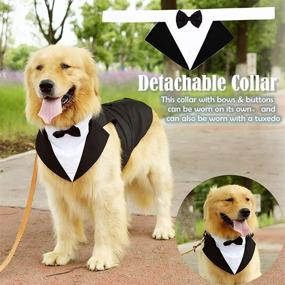 img 1 attached to Premium Dog Tuxedo Wedding Party Suit for Large Dogs - 🐶 Golden Retrievers, Samo Bulldogs, and More! Elegant Gentleman Dog Attire with Bowtie Included