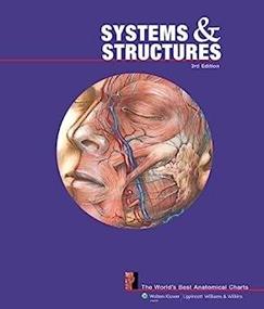 img 3 attached to 🧠 Exploring the Intricate Systems and Structures: Worlds Anatomical Charts