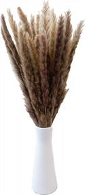 img 4 attached to Add A Touch Of Rustic Charm With EZDC'S 30 Stems Natural Dried Pampas Grass For Boho Home Decor And Plant Room Accents