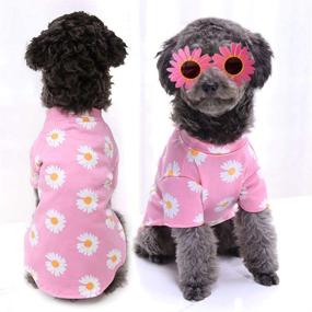 img 3 attached to Daisy Dog Apparel: Милые кошачьи рубашки и аксессуары для девочек и мальчиков, летние свитшоты, дышащая кошачья футболка. Идеально подходит для кошек, медведей, чихуахуа, йоркширских терьеров, бульдогов. Подходит для маленьких, средних и крупных домашних питомцев. Высококачественные розовые снаряжения для одежды.