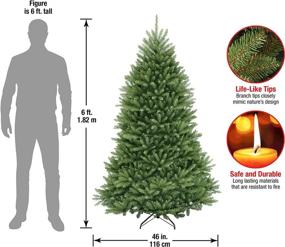 img 2 attached to 🎄 6-Foot National Tree Company Artificial Dunhill Fir Christmas Tree with Stand - Realistic Full Green Design