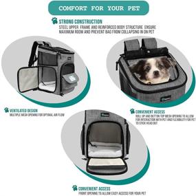 img 1 attached to 🐾 PetAmi Pet Carrier Backpack for Small Cats, Dogs, Puppies - Airline Approved, Ventilated, 4-Way Entry, Safety and Soft Cushioned Back Support - Collapsible for Travel, Hiking, Outdoor Adventures