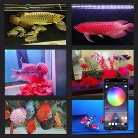 img 2 attached to DOCEAN Aquarium Lighting Fish Tank Light With APP Control