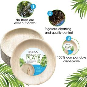 img 1 attached to 🌿 ENE Co Party Palm Leaf Plates 60-Pack - Eco-Friendly, Biodegradable, Microwave Safe Plates - 20 8 Inch Round Bamboo Plates Disposable with Utensils Included