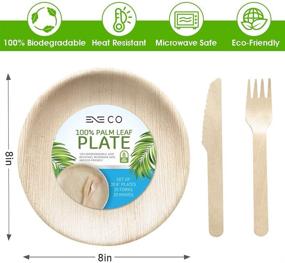 img 3 attached to 🌿 ENE Co Party Palm Leaf Plates 60-Pack - Eco-Friendly, Biodegradable, Microwave Safe Plates - 20 8 Inch Round Bamboo Plates Disposable with Utensils Included