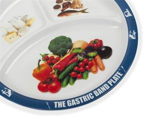 img 1 attached to Revolutionize Portion Control for Weight Management with Gastric Plate