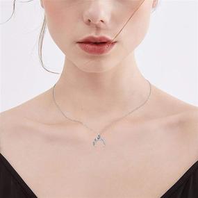 img 2 attached to 🌙 Waysles Crescent Moon Rose Urn Necklace: Commemorative Cremation Jewelry with Fill Kit