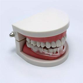 img 1 attached to SUPVOX Orthodontic Sleeping Grinding Protector