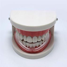 img 2 attached to SUPVOX Orthodontic Sleeping Grinding Protector