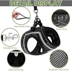 img 2 attached to 🐈 Breathable Cat Harness and Leash Set - Escape Proof Vest, Reflective Adjustable Soft Mesh Harness, Easy Control for Outdoor Walking - PUPTECK