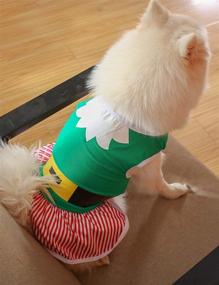 img 3 attached to 🎅 Impoosy Christmas Dog Dresses - Merry Christmas Pet Elf Clothes: Cotton Clothes for Puppy Xmas, Funny Tutu Plush Ruffle Skirt (XL)