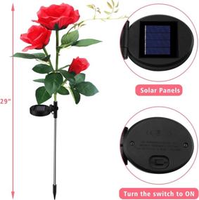 img 2 attached to 🌹 2-Pack Solar Garden Decorations – Exquisite Rose Flowers | Outdoor Decorative Solar Lights | Waterproof, Solar-Powered Yard Decoration for Patio, Pathway (Red)