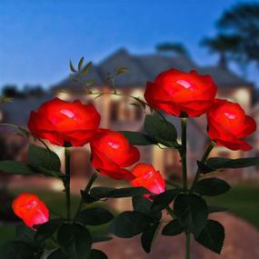 img 4 attached to 🌹 2-Pack Solar Garden Decorations – Exquisite Rose Flowers | Outdoor Decorative Solar Lights | Waterproof, Solar-Powered Yard Decoration for Patio, Pathway (Red)