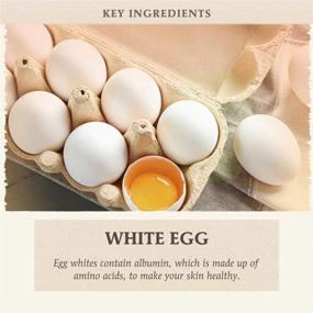 img 1 attached to 🥚 Skinfood Egg White Pore Mask: Purify and Minimize Pores - 4.41 Ounces