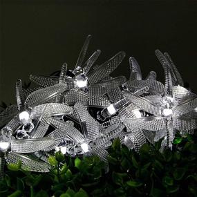 img 4 attached to 🐉 DINOWIN Dragonfly Lights: 20FT/6M Solar String Lights with 8 Modes - Waterproof Outdoor Garden & Christmas Decorations (Cold White)