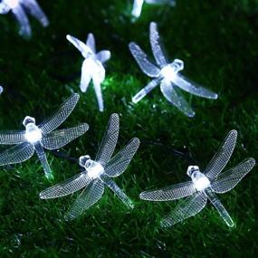 img 2 attached to 🐉 DINOWIN Dragonfly Lights: 20FT/6M Solar String Lights with 8 Modes - Waterproof Outdoor Garden & Christmas Decorations (Cold White)