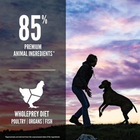 img 1 attached to 🐶 Premium Grain-Free ORIJEN Puppy Dry Dog Food: High Protein Formula with Fresh and Raw Animal Ingredients for Large Breeds