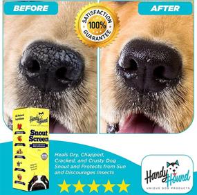 img 2 attached to 🐾 Organic Paw and Nose Care Bundle: Handy Hound Set with Paw Butter, SnoutScreen, All-Natural Butters, Wax, and Balm for Dogs' Nose and Paws, Enhanced with Natural Dog Sunscreen - Includes Charming Dog Themed Gift Bag