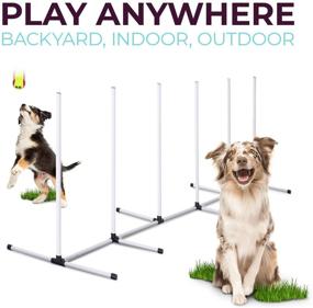 img 2 attached to Ultimate Dog Agility Training Equipment Set - Tunnel, Jump, Hurdle, Hoop, Weave Poles - Obstacle Course for Dogs, Ideal for Backyard, Indoor, and Outdoor Use