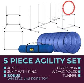 img 3 attached to Ultimate Dog Agility Training Equipment Set - Tunnel, Jump, Hurdle, Hoop, Weave Poles - Obstacle Course for Dogs, Ideal for Backyard, Indoor, and Outdoor Use