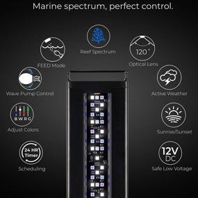 img 3 attached to 🐠 Enhance Your Saltwater Coral Reef Tank with Current USA Orbit Marine LED Aquarium Light—Wireless Lighting Control, Wave Pump Timer, and Adjustable Color Spectrum & Flow Mode