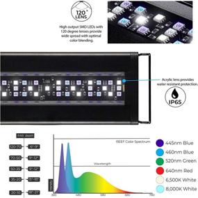 img 2 attached to 🐠 Enhance Your Saltwater Coral Reef Tank with Current USA Orbit Marine LED Aquarium Light—Wireless Lighting Control, Wave Pump Timer, and Adjustable Color Spectrum & Flow Mode