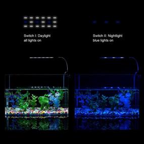 img 3 attached to 🐠 Enhance Your Fish Tank with our 7W Clip-On LED Aquarium Lights for 5-10 Gallon Tanks: White and Blue LEDs for Optimal Illumination