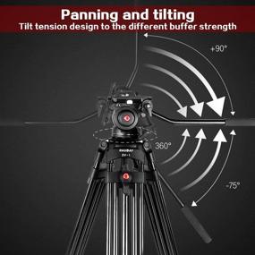 img 2 attached to 📷 RAUBAY 70.8" Professional Heavy-Duty Video Camera Tripod with Fluid Head and 2 QR Plates for DSLR Camcorder, Max Load 17.6lbs, Aluminum Twin Tube Leg with Mid-Level Spreader - Innovative Tilt Tension Design