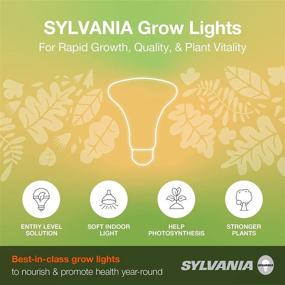 img 1 attached to 🔦 Enhance Your Space with SYLVANIA Spot Gro Incandescent Reflector Frosted